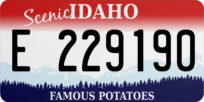 ID license plate E229190