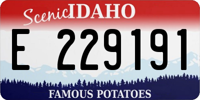 ID license plate E229191