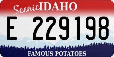 ID license plate E229198