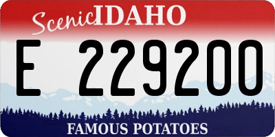 ID license plate E229200