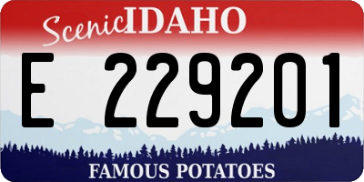 ID license plate E229201