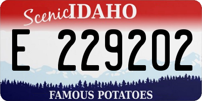 ID license plate E229202