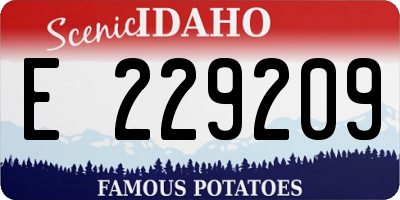 ID license plate E229209