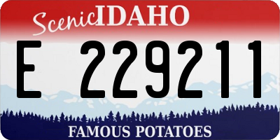 ID license plate E229211