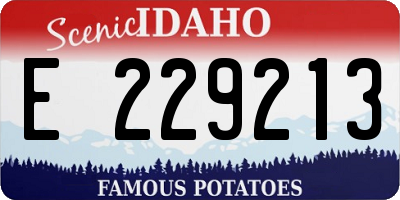 ID license plate E229213