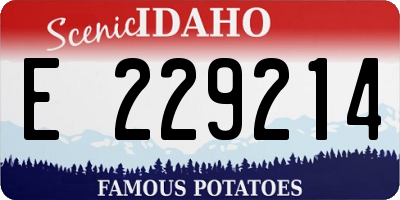 ID license plate E229214
