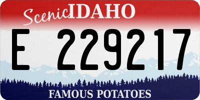 ID license plate E229217