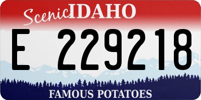 ID license plate E229218