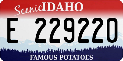 ID license plate E229220