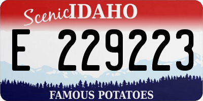ID license plate E229223
