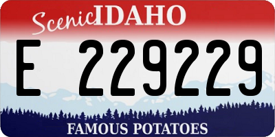 ID license plate E229229