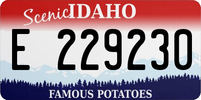 ID license plate E229230