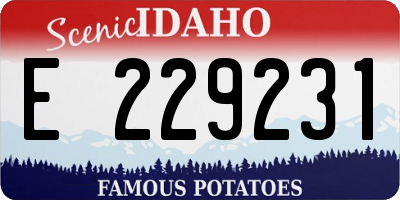 ID license plate E229231