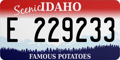 ID license plate E229233