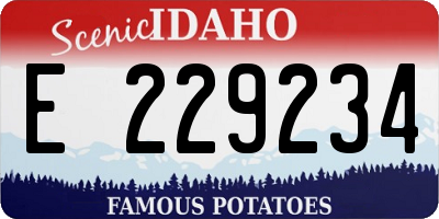 ID license plate E229234