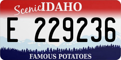 ID license plate E229236