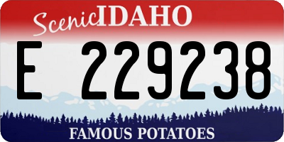ID license plate E229238