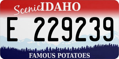 ID license plate E229239