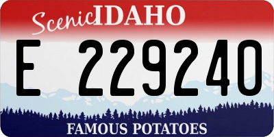 ID license plate E229240
