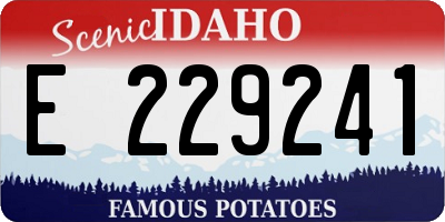 ID license plate E229241