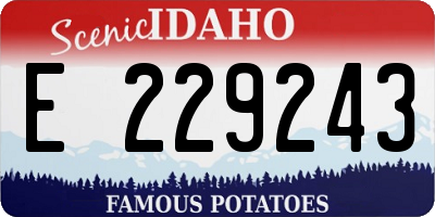 ID license plate E229243