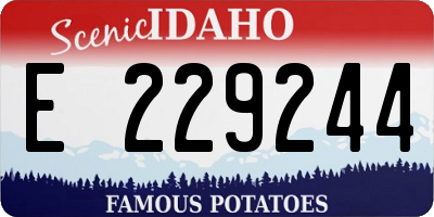 ID license plate E229244