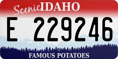 ID license plate E229246
