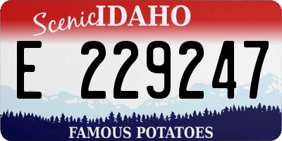 ID license plate E229247