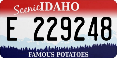 ID license plate E229248