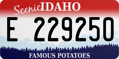 ID license plate E229250