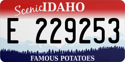 ID license plate E229253