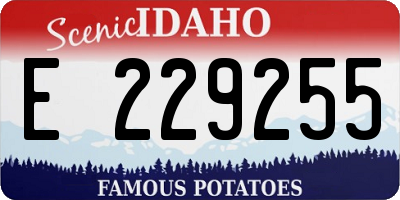 ID license plate E229255