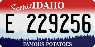 ID license plate E229256