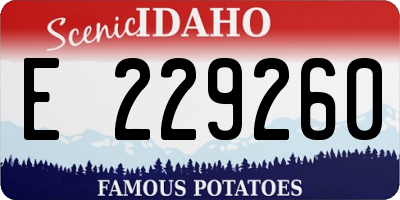 ID license plate E229260