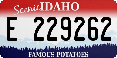 ID license plate E229262