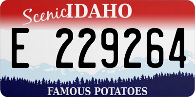 ID license plate E229264