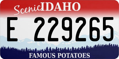 ID license plate E229265
