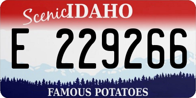 ID license plate E229266