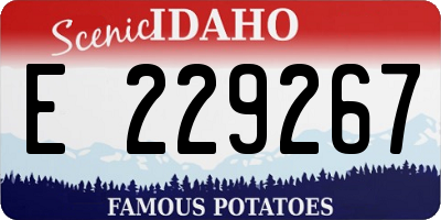 ID license plate E229267