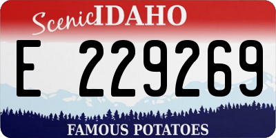 ID license plate E229269