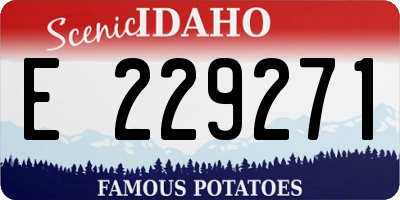 ID license plate E229271