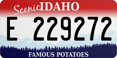 ID license plate E229272