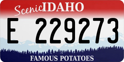 ID license plate E229273