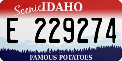 ID license plate E229274