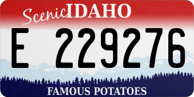 ID license plate E229276