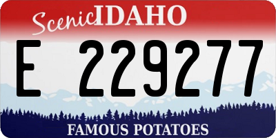 ID license plate E229277