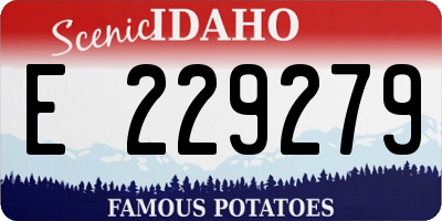 ID license plate E229279