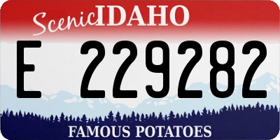ID license plate E229282
