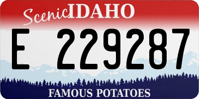 ID license plate E229287