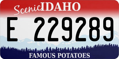 ID license plate E229289